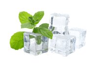 Menthol 10ml Liquid